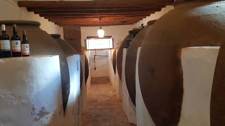 Foto mundo del vino