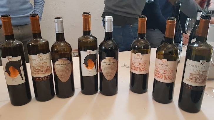 Foto mundo del vino