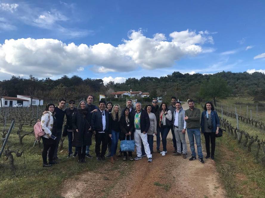 Foto mundo del vino