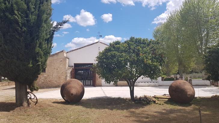 Foto mundo del vino