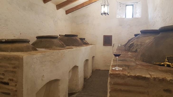 Foto mundo del vino