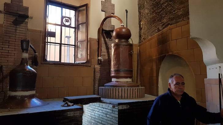 Foto mundo del vino