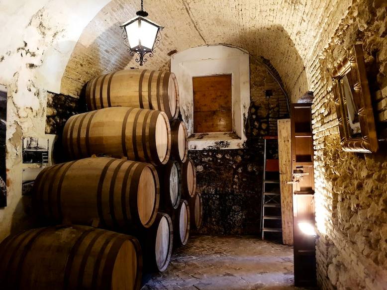 Foto mundo del vino