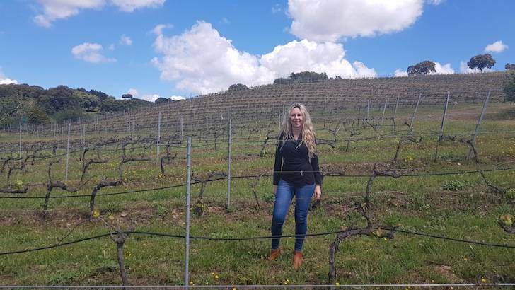 Foto mundo del vino