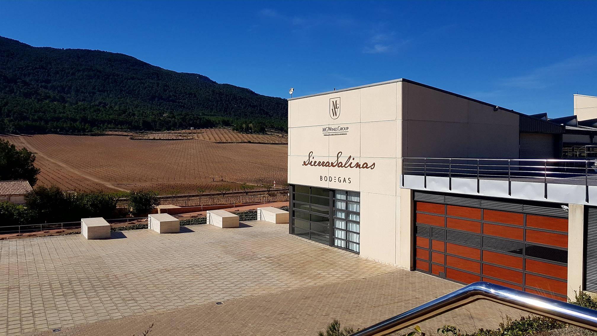 Foto mundo del vino