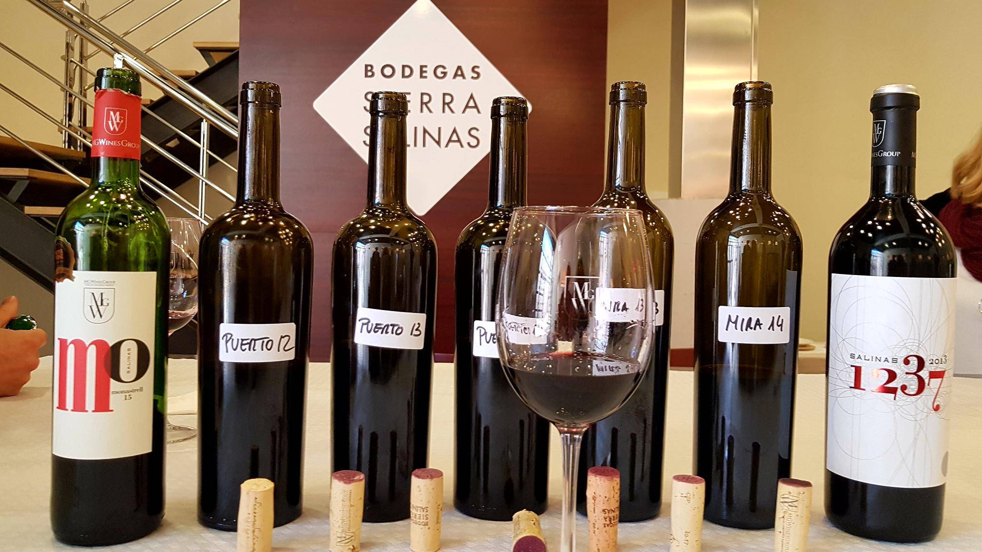 Foto mundo del vino