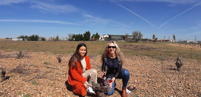 Foto mundo del vino