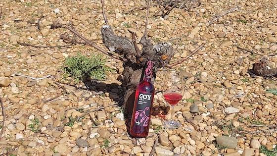 Foto mundo del vino
