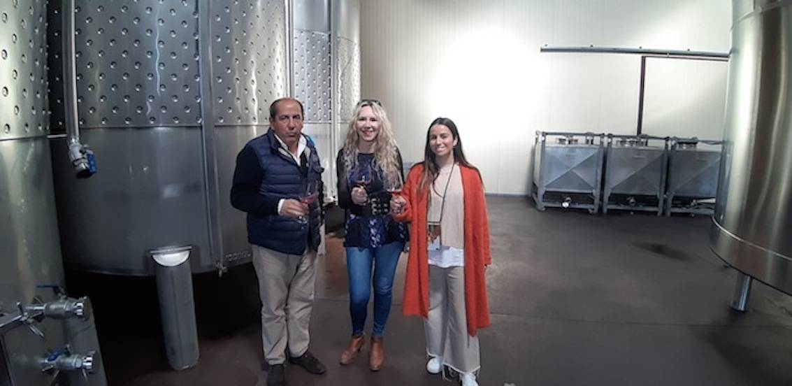 Foto mundo del vino
