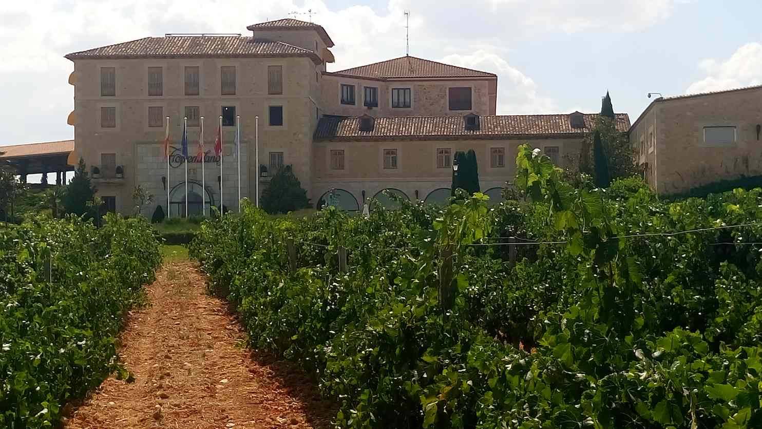 Foto mundo del vino