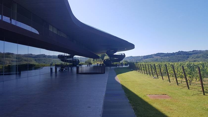 Foto mundo del vino