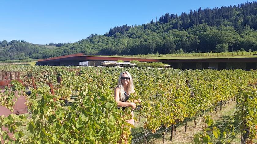Foto mundo del vino