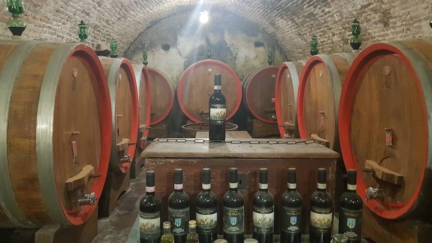 Foto mundo del vino