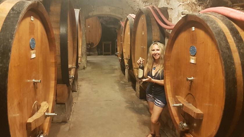 Foto mundo del vino