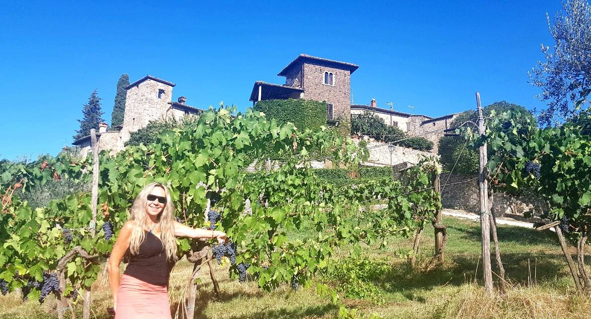 Foto mundo del vino
