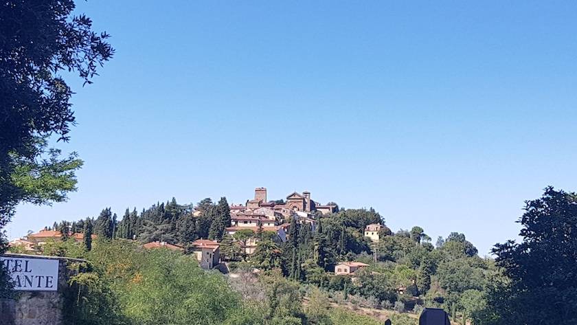 Foto mundo del vino