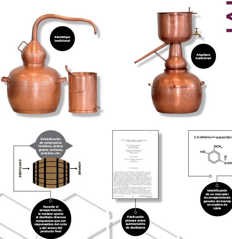 Foto mundo del vino