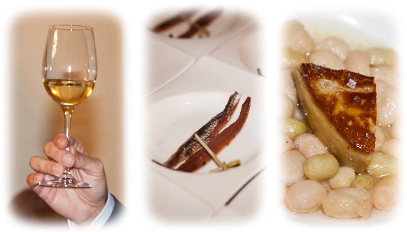 Foto mundo del vino