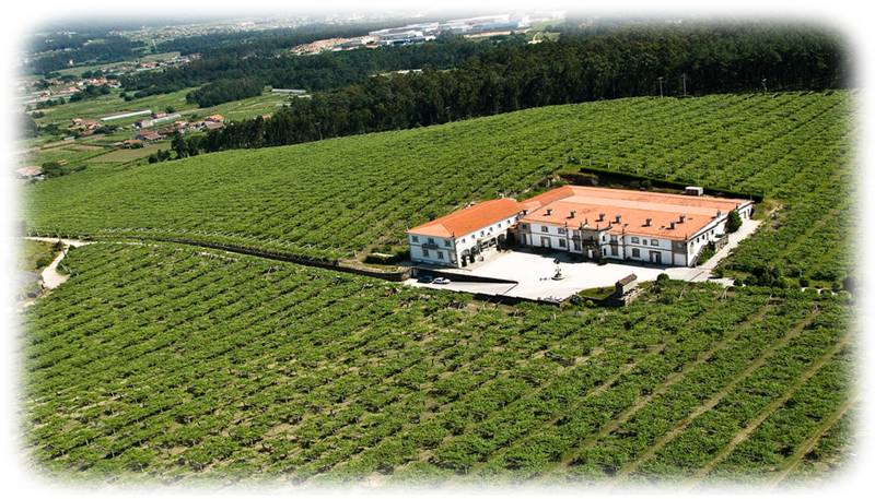 Foto mundo del vino