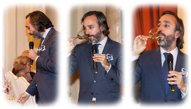 Foto mundo del vino
