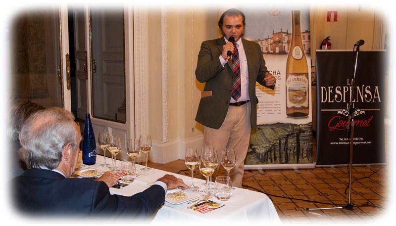 Foto mundo del vino