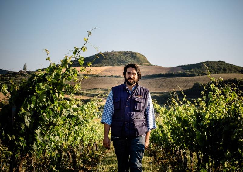 Foto mundo del vino