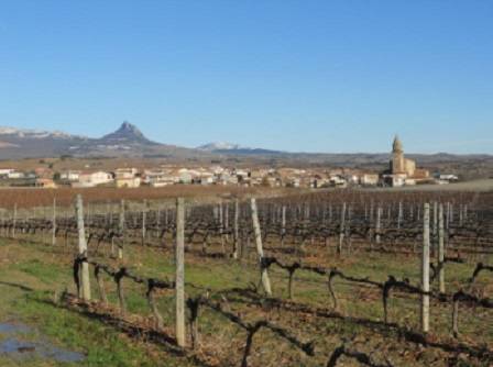 Foto mundo del vino