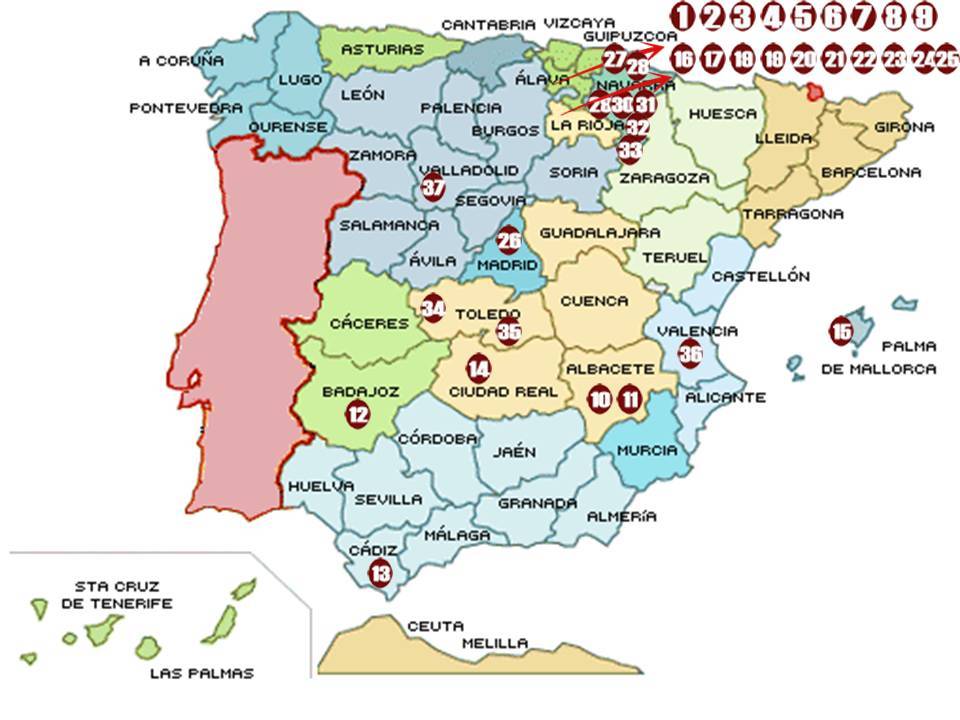 Foto mundo del vino