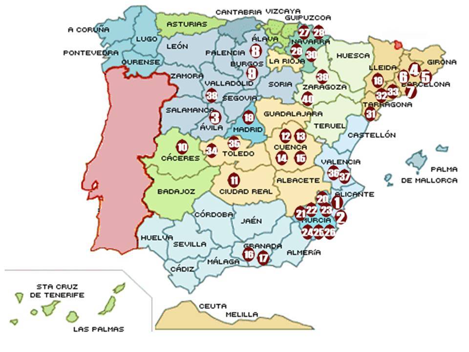Foto mundo del vino