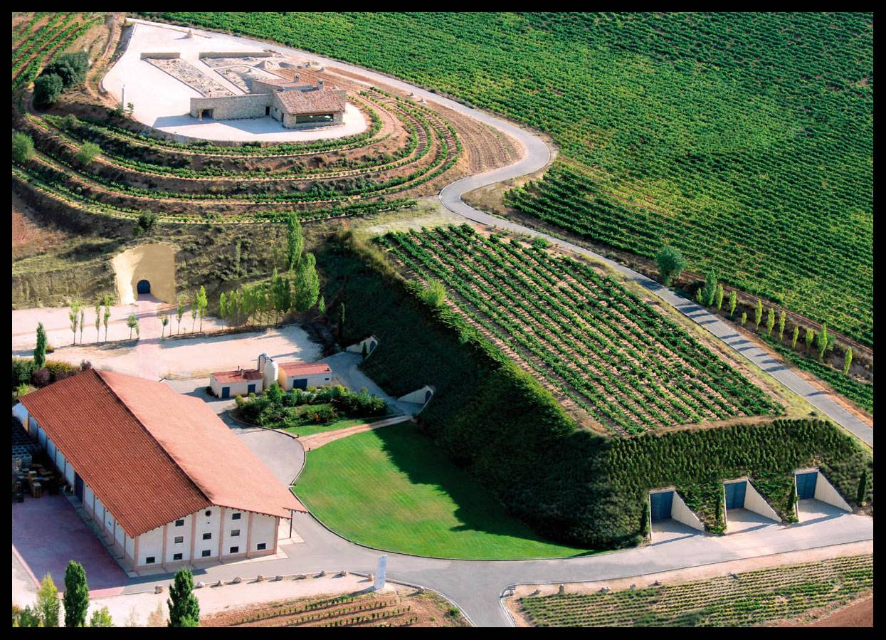 Foto mundo del vino