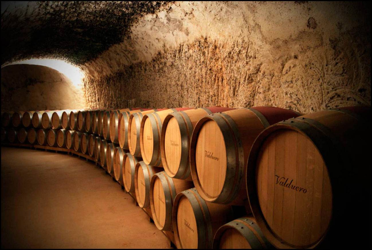 Foto mundo del vino