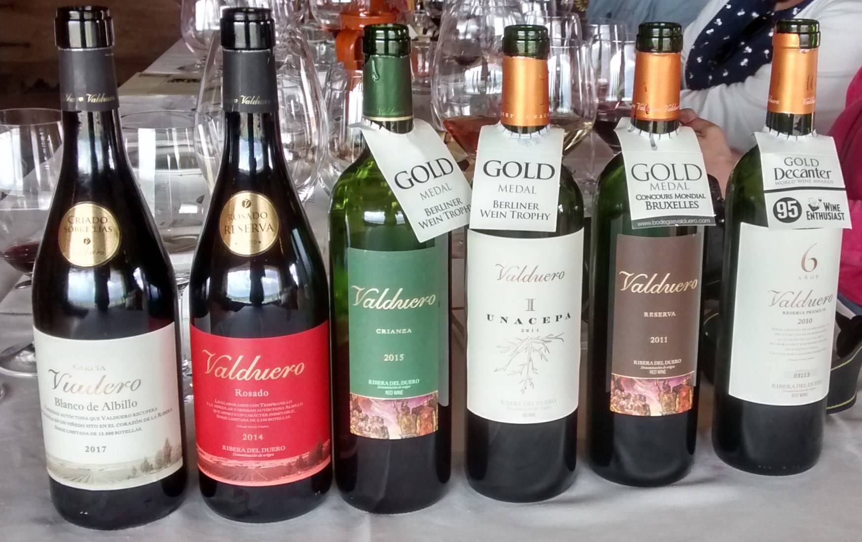 Foto mundo del vino