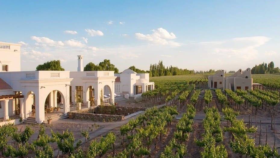 Foto mundo del vino