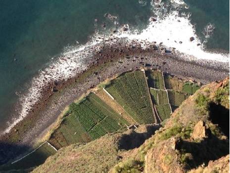 Foto mundo del vino