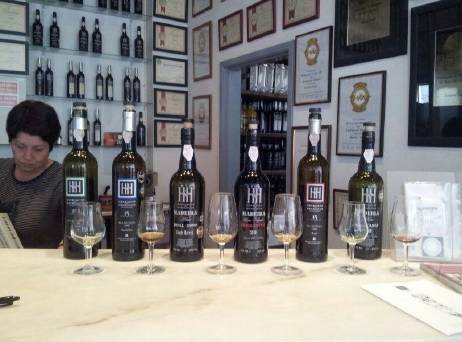 Foto mundo del vino