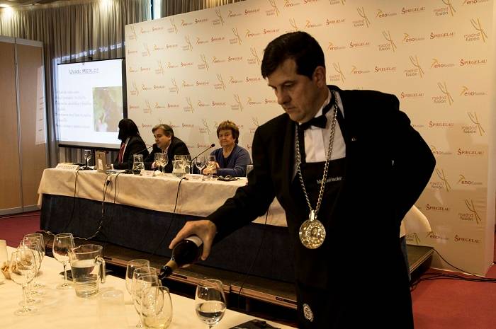 Foto mundo del vino