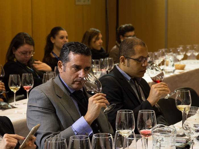 Foto mundo del vino