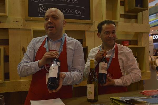 Foto mundo del vino