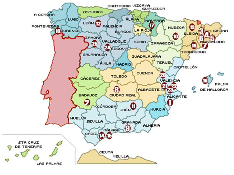 Foto mundo del vino