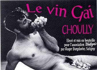 Foto mundo del vino