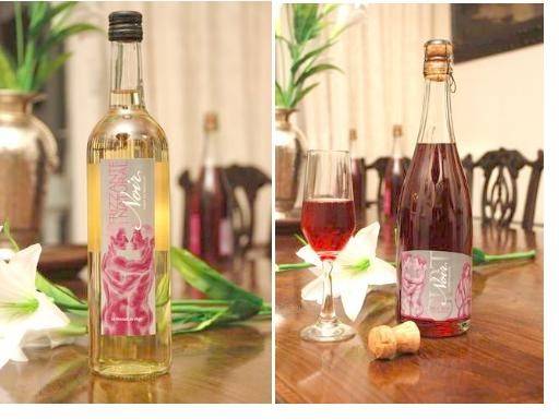 Foto mundo del vino