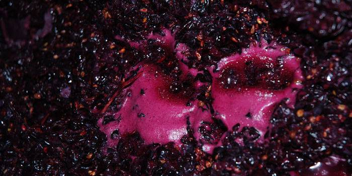 Foto mundo del vino