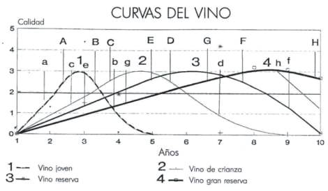 Foto mundo del vino
