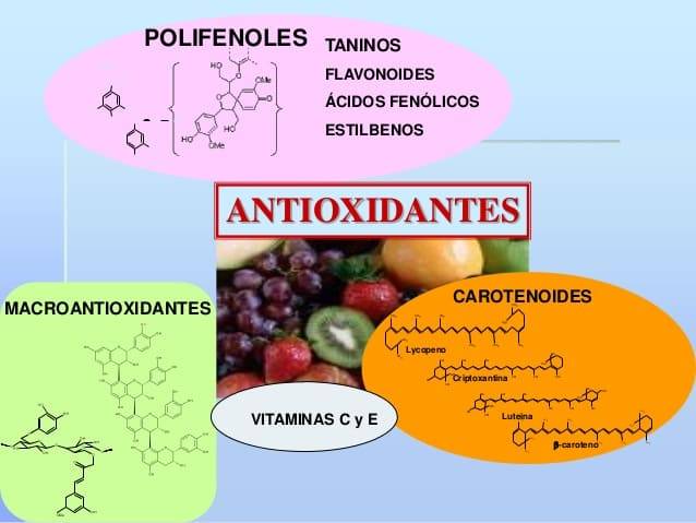 Foto mundo del vino