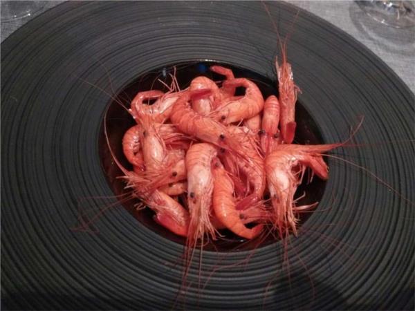Foto mundo del vino