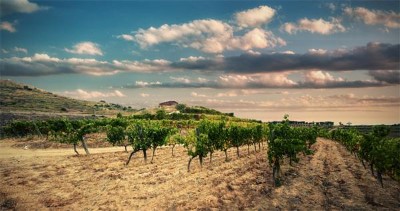 Cata de 3 vinos de la Bodega Puig Priorat
