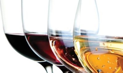 Iniciación a la Cata de Vino