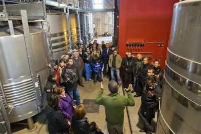 Visita a la bodega y cata en Tomás Cusine