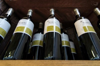 Cata de vinos Bregolat