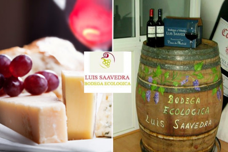 Cata de Vino en Bodega Ecológica Luis Saavedra para 2 personas